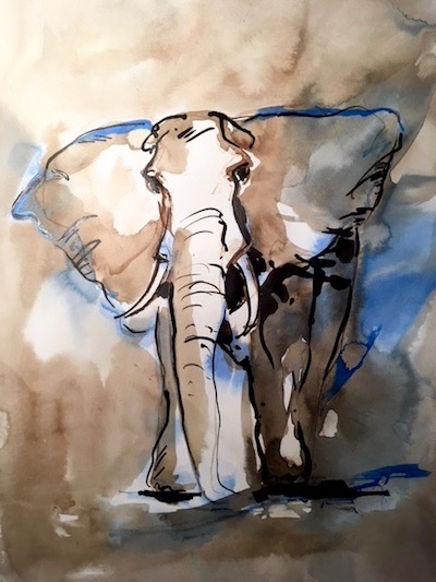 elephant bleu
