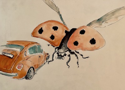 coccinelle.jpg, mai 2020